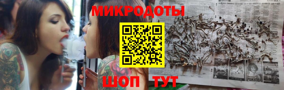 Псилоцибиновые грибы Psilocybe Донецк