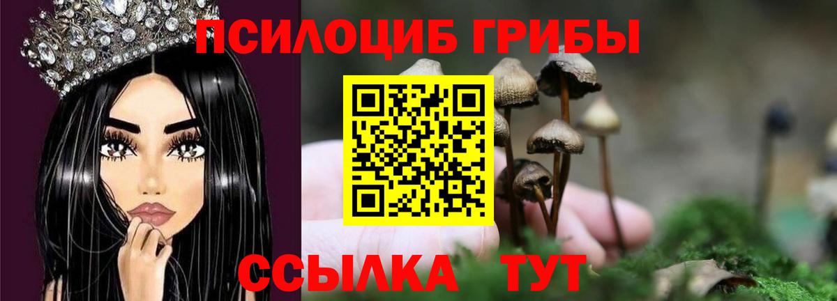 Галлюциногенные грибы Psilocybe  Галлюциногенные грибы Magic Shrooms  Донецк  Вход с VPN 